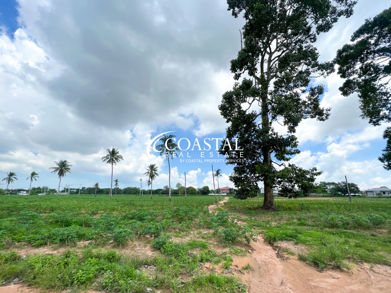 Land For Sale Mabprachan/Pong