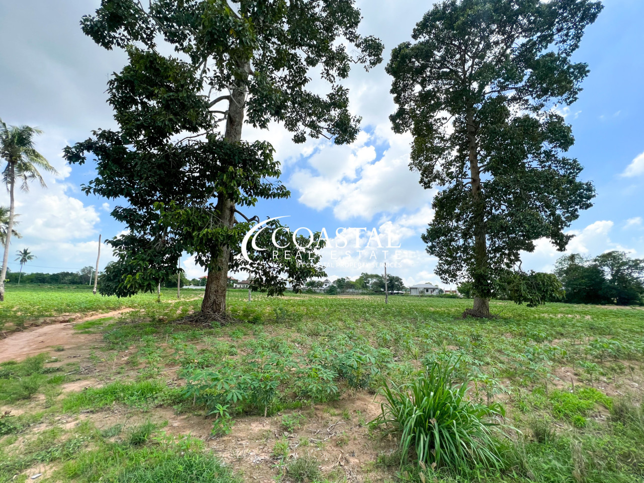 Land For Sale Mabprachan/Pong