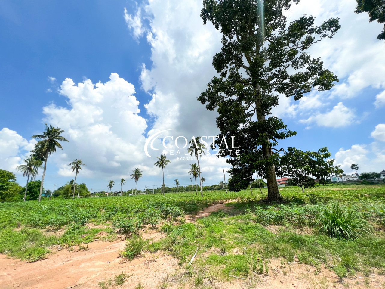 Land For Sale Mabprachan/Pong