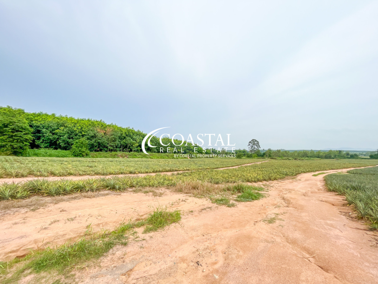Land For Sale Mabprachan/Pong