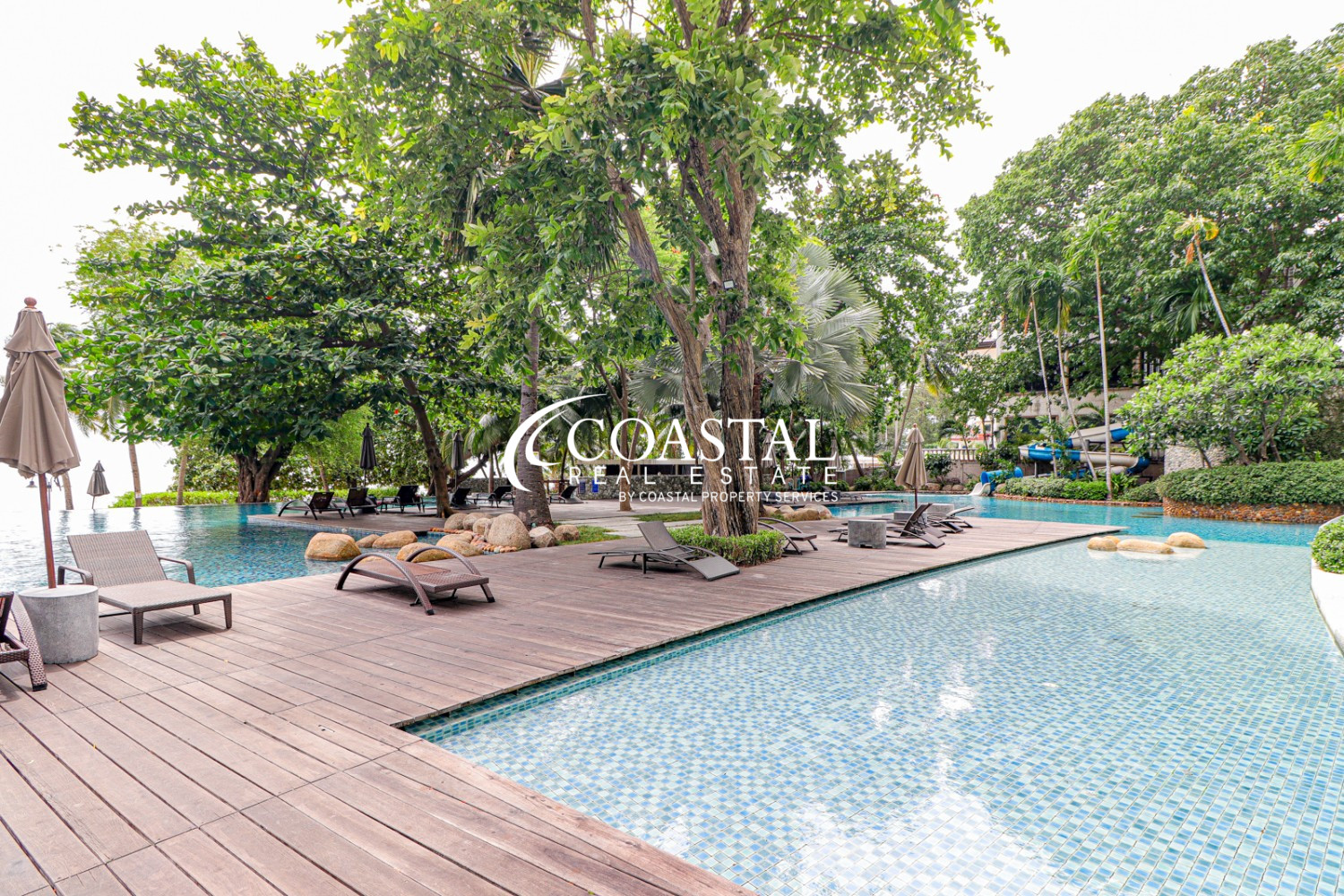 Picture of Condo for sale and rent at Northpoint Tower B in Wong Amat. | C012853 ...
