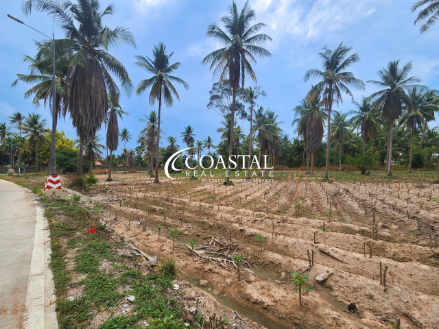 ที่ดินสำหรับขายที่นาจอมเทียน