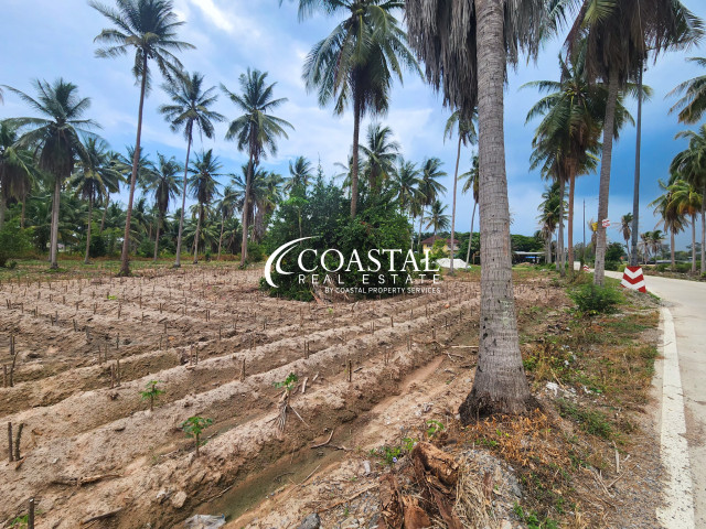 ที่ดินสำหรับขายที่นาจอมเทียน