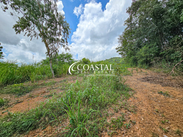 ที่ดินสำหรับขายที่นาจอมเทียน