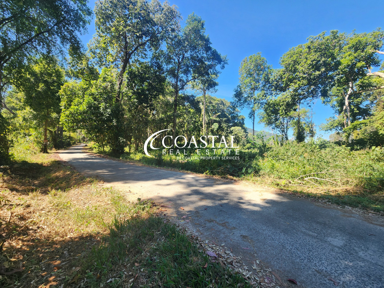 Land For Sale Trat