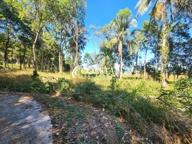 Land For Sale Trat