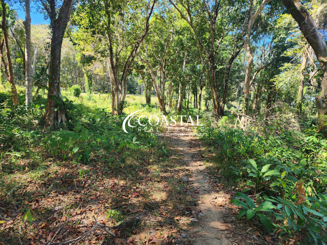Land For Sale Trat