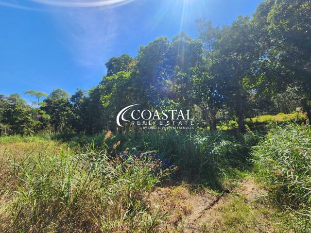 Land For Sale Trat