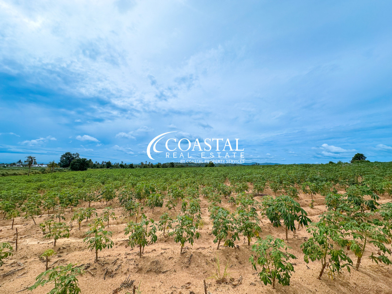 Land For Sale Mabprachan/Pong