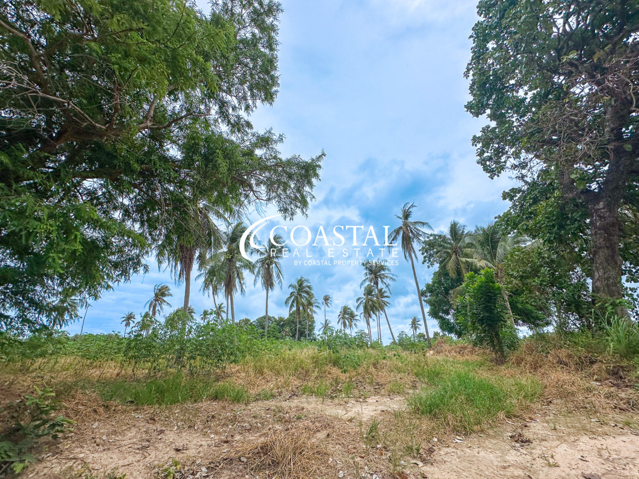 Land For Sale Mabprachan/Pong