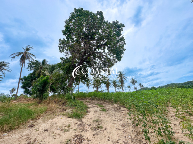 Land For Sale Mabprachan/Pong