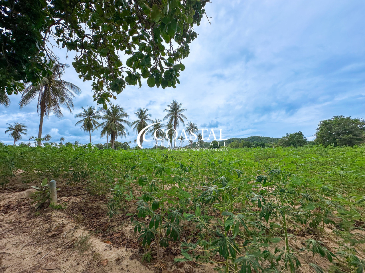 Land For Sale Mabprachan/Pong