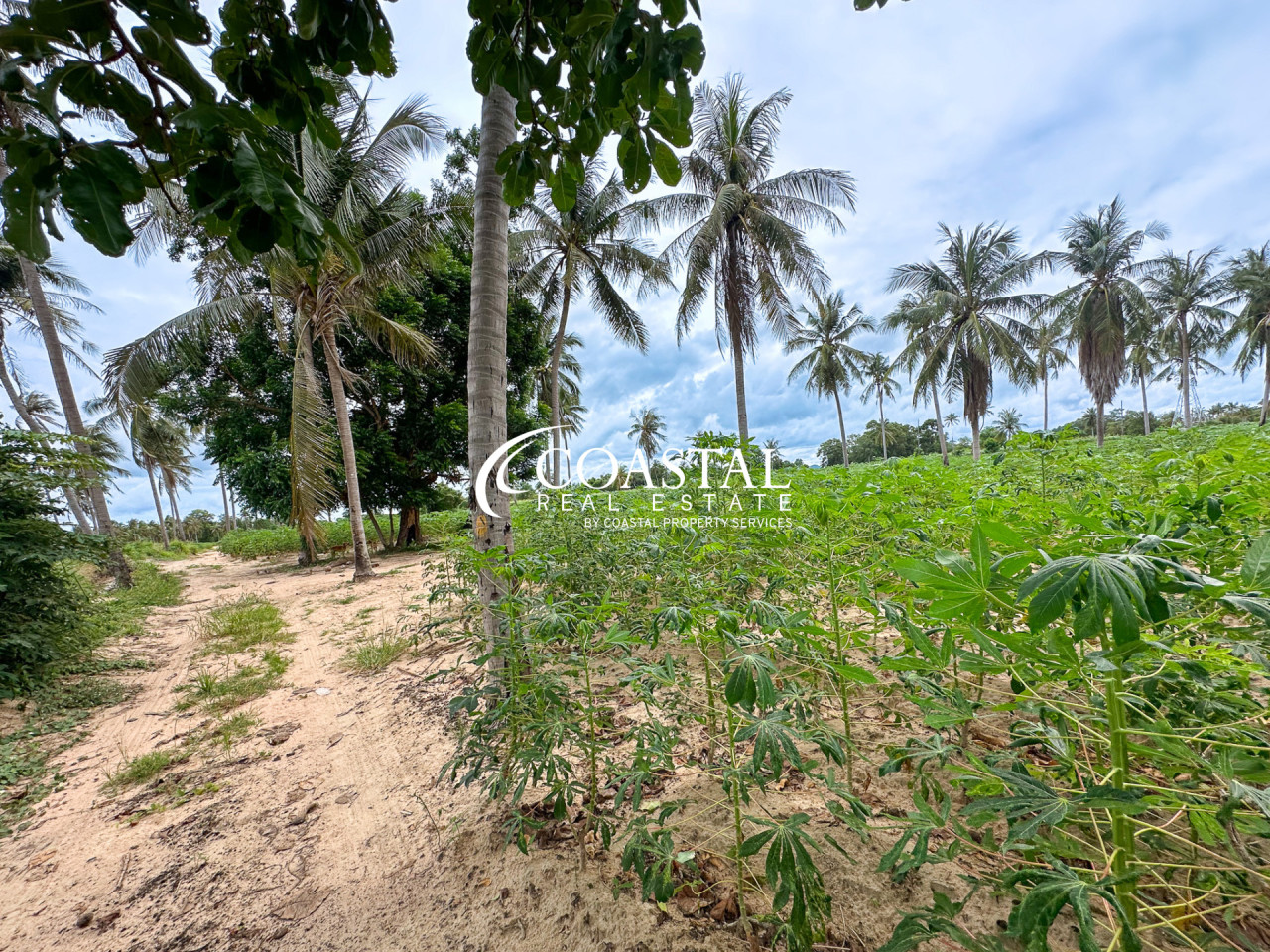 Land For Sale Mabprachan/Pong