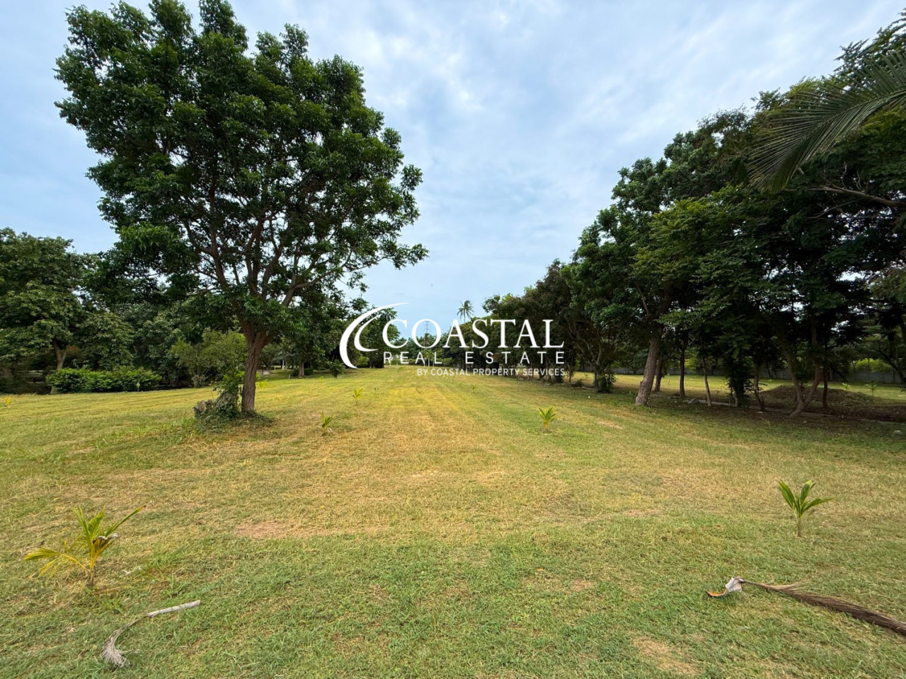 ที่ดินสำหรับขายที่บางเสร่