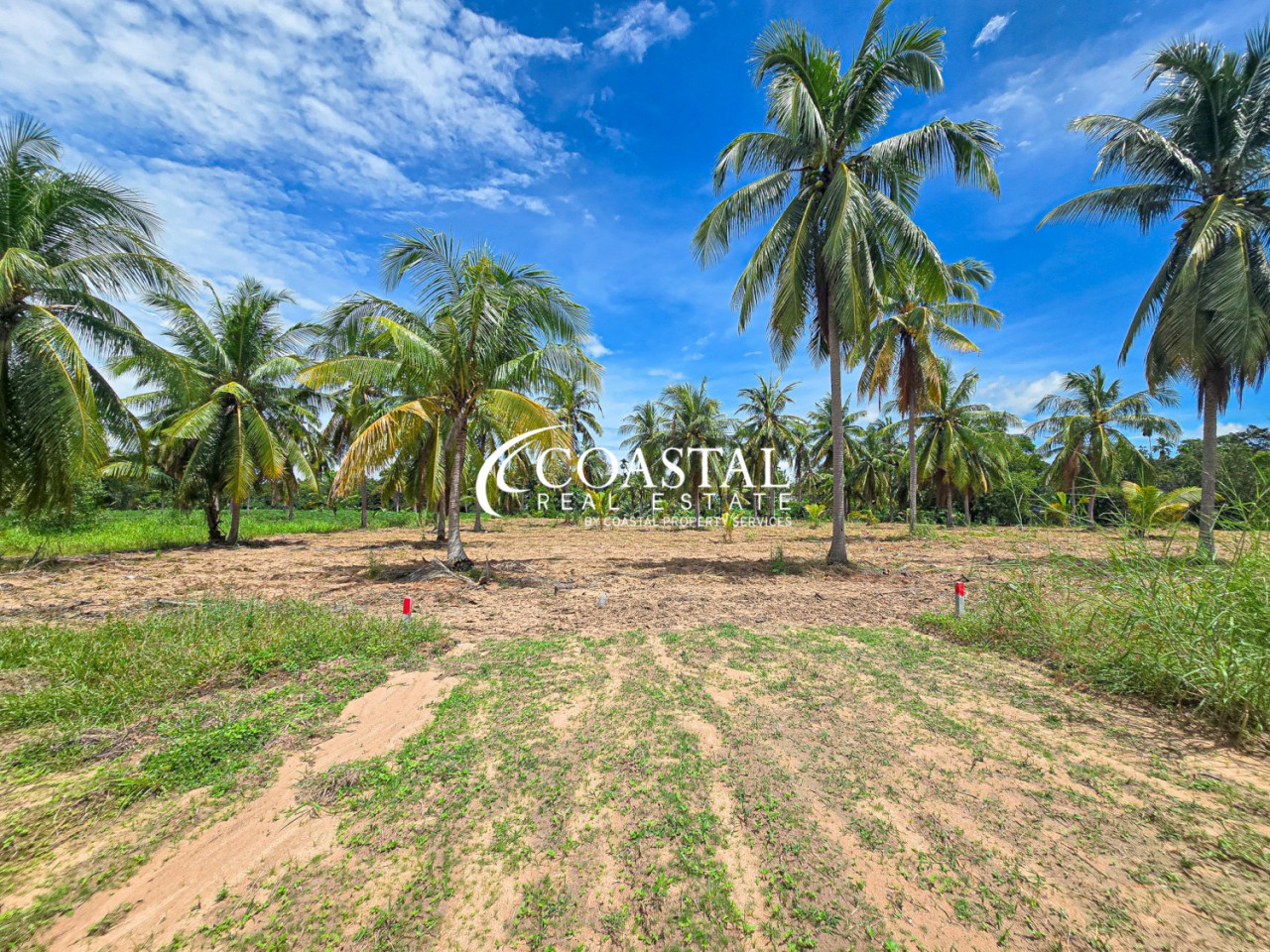 ที่ดินสำหรับขายที่หนองปลาไหล