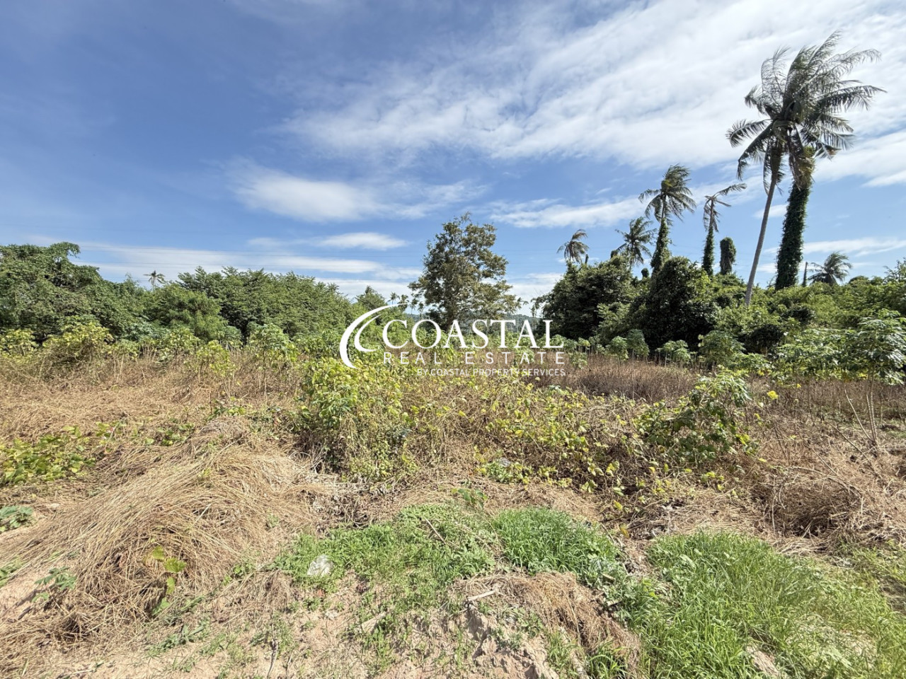 ที่ดินสำหรับขายที่บางเสร่